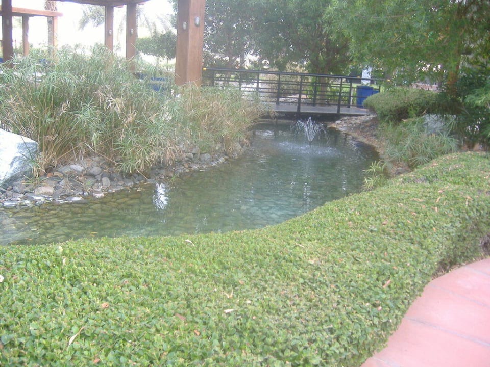 Zahrada Hotel Le Meridien Al Aqah Beach Resort