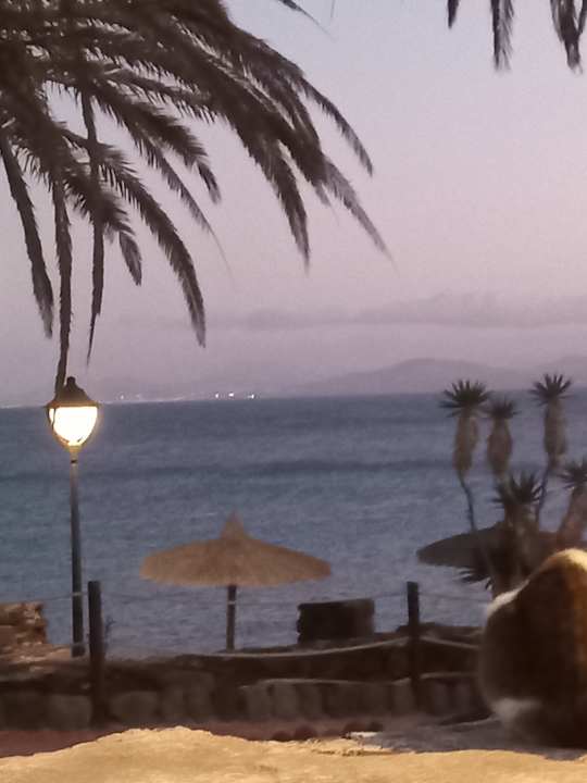 Ausblick SBH Hotel Royal Monica