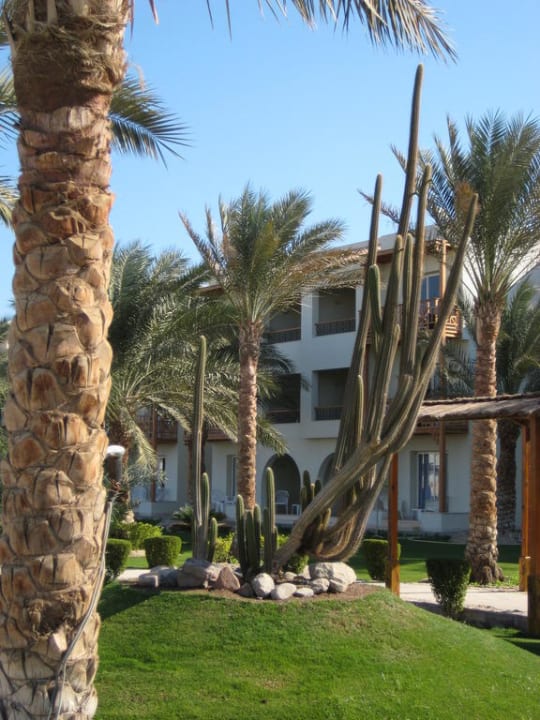 Anlage des Dana Pickalbatros Dana Beach Resort - Hurghada