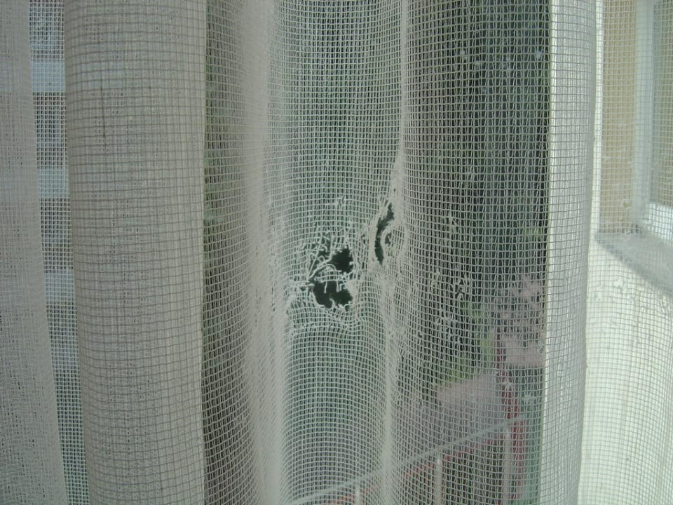 Das Kinderzimmer hatte Gardinen mit Löchern  Ferienwohnungen Ferienpark Weissenhäuser Strand