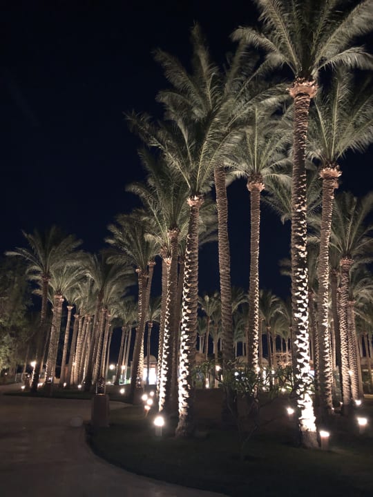 Gartenanlage Makadi Palace