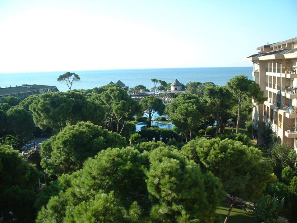 Meeresblick Papillon Ayscha