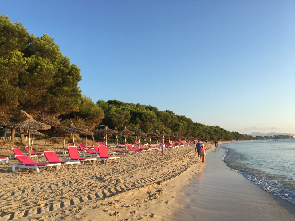 Strand Aparthotel Ivory Playa