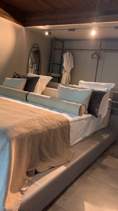 Zimmer Paloma Finesse