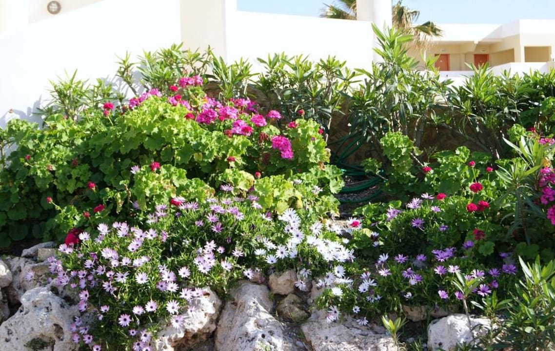 Bunte Vielfalt Hotel Kalithea Horizon Royal