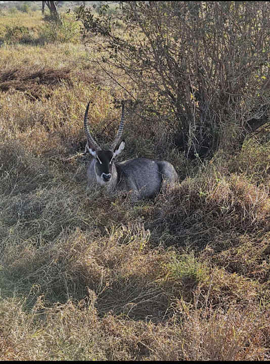 Außenansicht Hotel Diani Sea Lodge