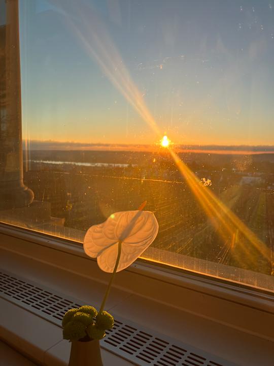 Ausblick Relais & Châteaux Hotel Burg Schwarzenstein