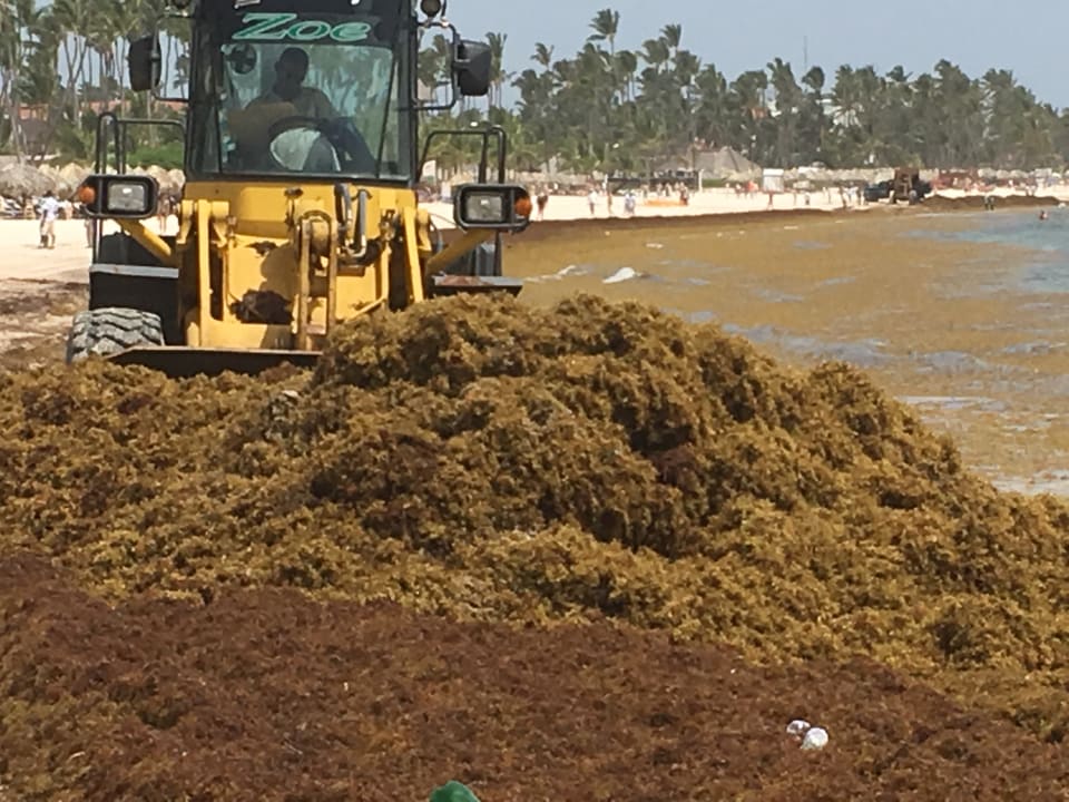 Strand Meliá Caribe Beach Resort-All Inclusive