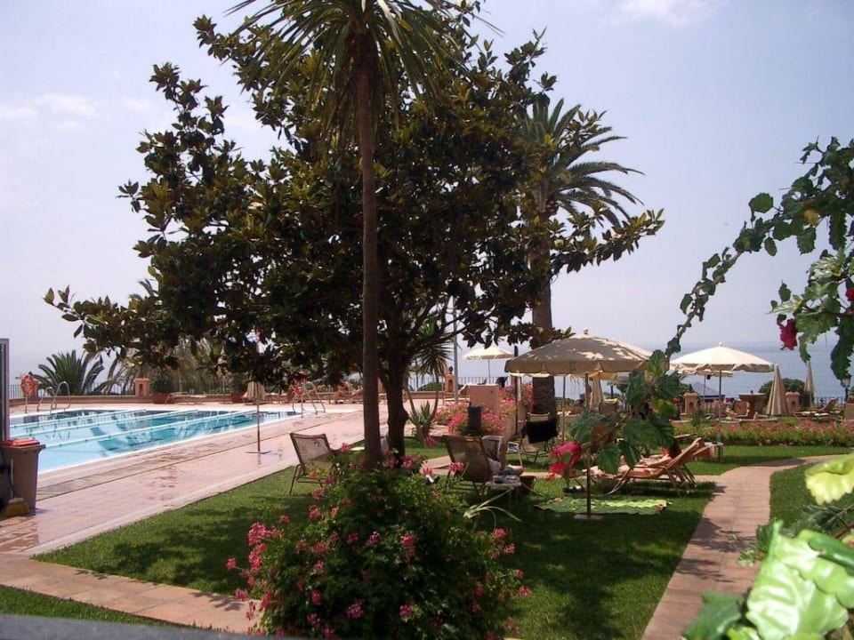 Garten am geöffneten Hallenbad Hotel El Fuerte Marbella