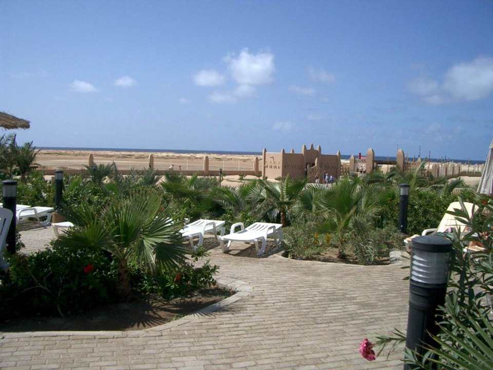 am Pool Hotel Riu Funana