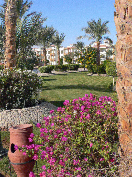 Blick durch den Garten Pickalbatros Dana Beach Resort - Hurghada