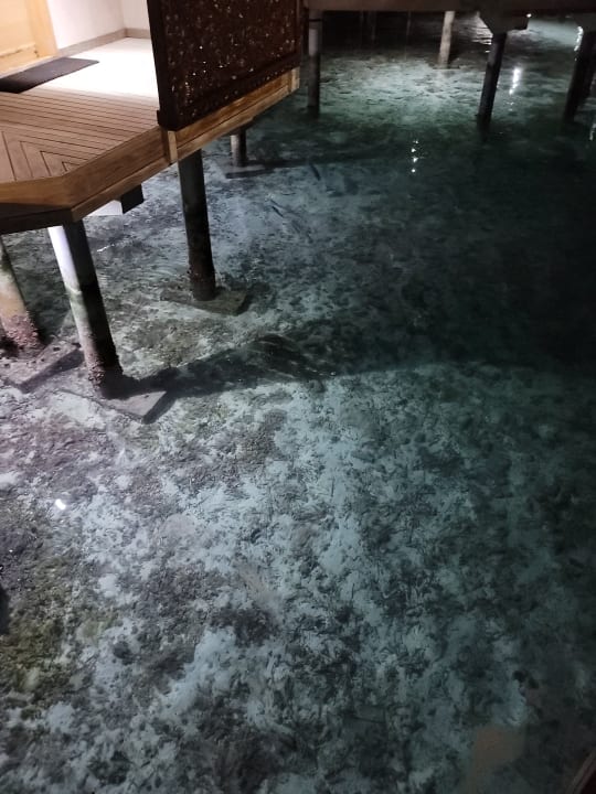 Sonstiges Cinnamon Dhonveli Maldives