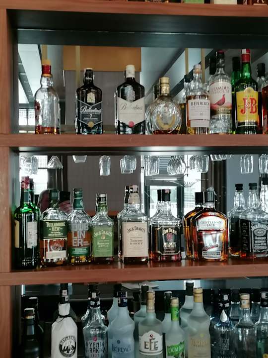 Gastro Acanthus Cennet Barut Collection