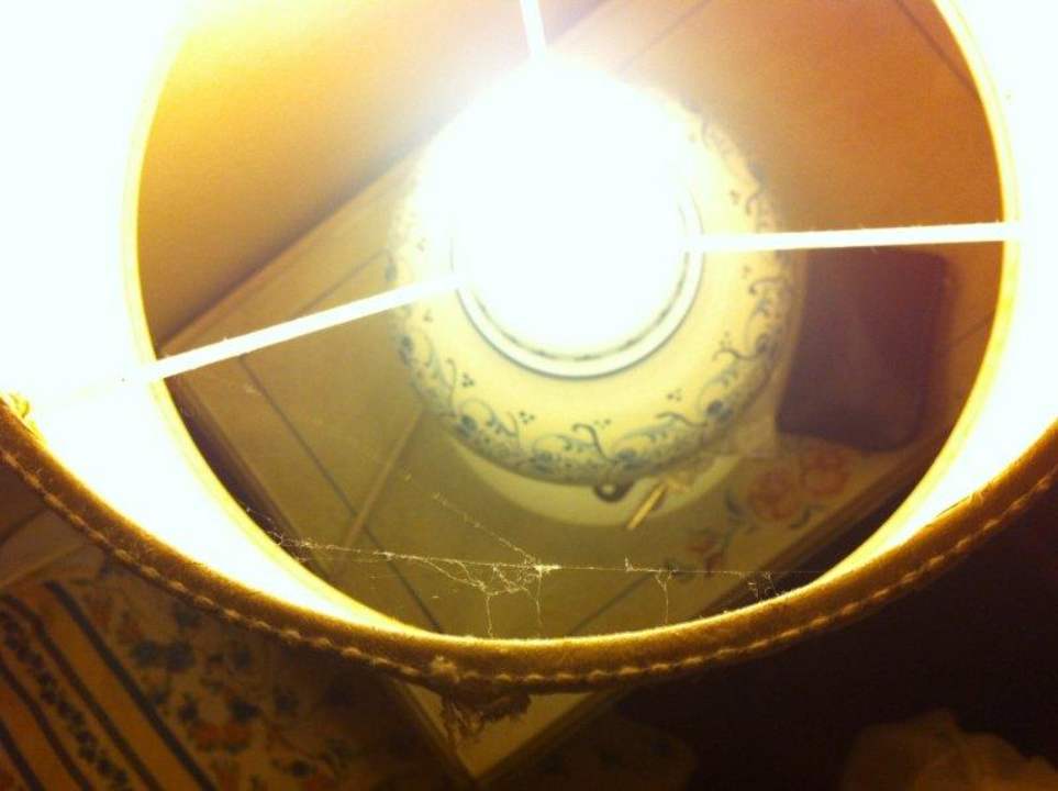 Spinnwebe am Ankunftstag in der Nachttischleuchte Country House Bosco Lazzeroni