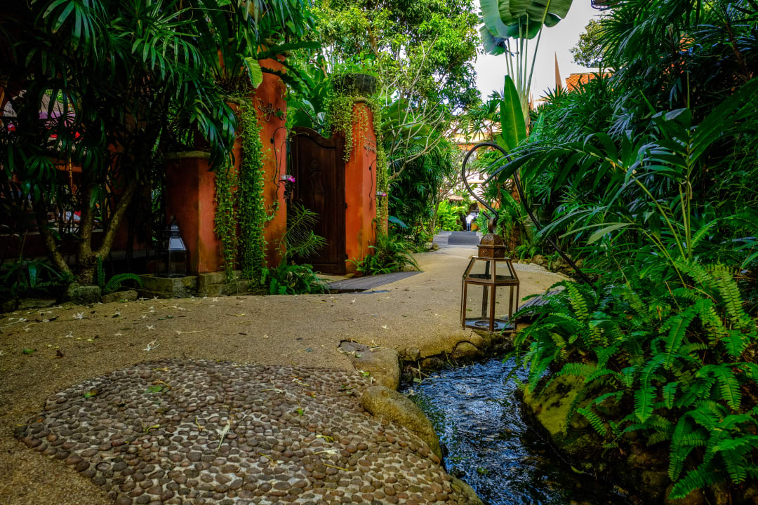 Gartenanlage Zazen Boutique Resort & Spa