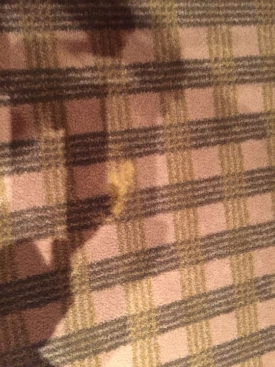 Zimmer Aldiana Club Schlanitzen Alm