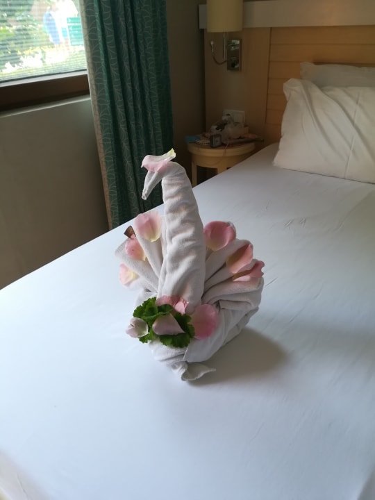 Zimmer Can Garden Beach