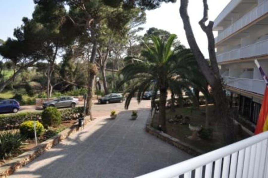 Widok z pokoju Globales Cala Blanca