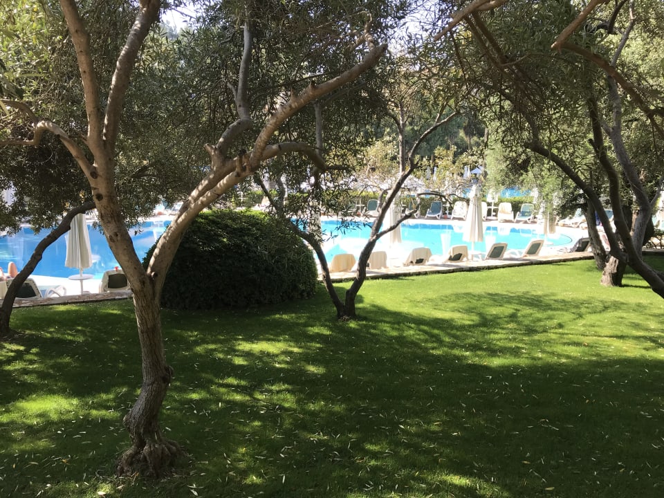Gartenanlage Barut Hemera
