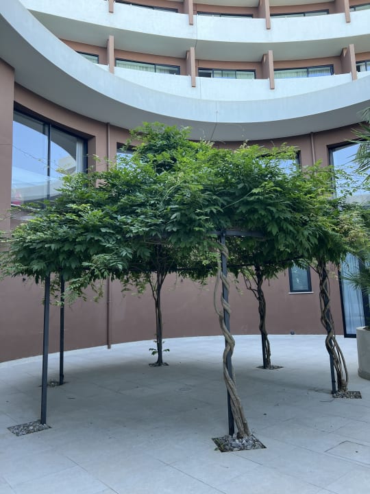 Gartenanlage Hotel Costa Verde