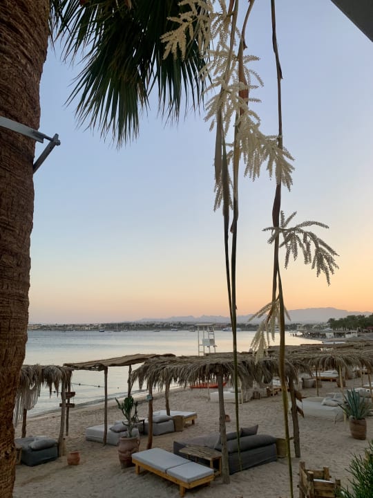 Außenansicht Fort Arabesque Resort, Spa & Villas