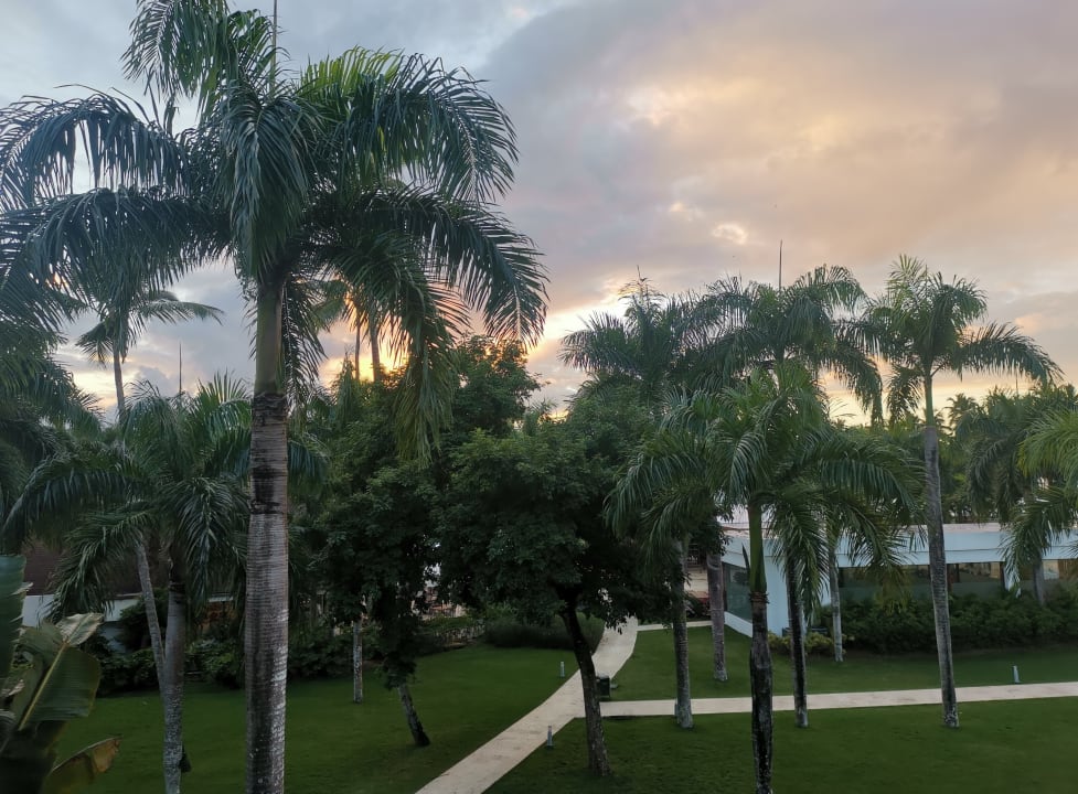 Gartenanlage Viva Wyndham Samaná