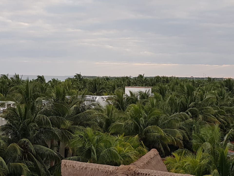 Ausblick TUI BLUE El Dorado Seaside Suites