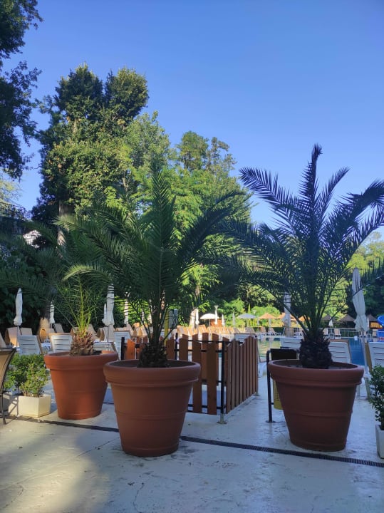 Sonstiges Odessos Park Hotel