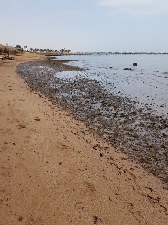 Strand Hotel Caves Beach Resort (Adults Only)