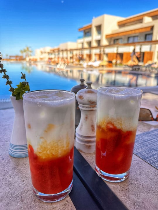 Gastro JAZ Elite Amara