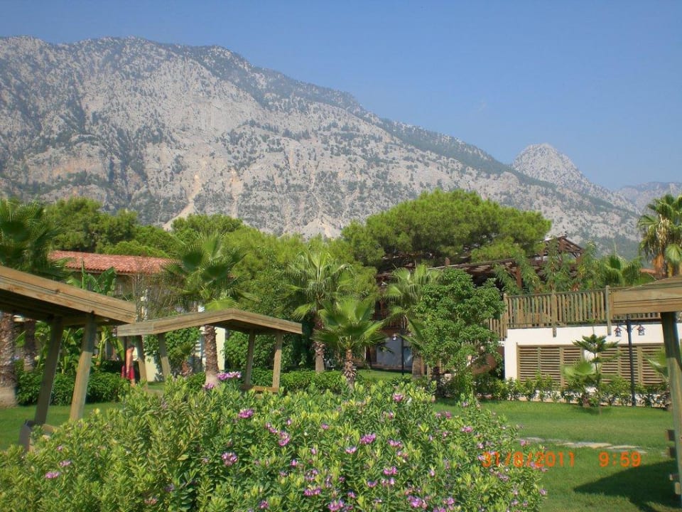 Garten Crystal Flora Beach Resort