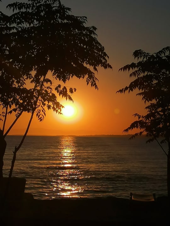Ausblick Hotel Neptün/Neptun