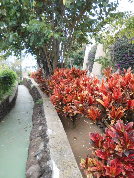 Garten BLUESEA Costa Jardin Spa