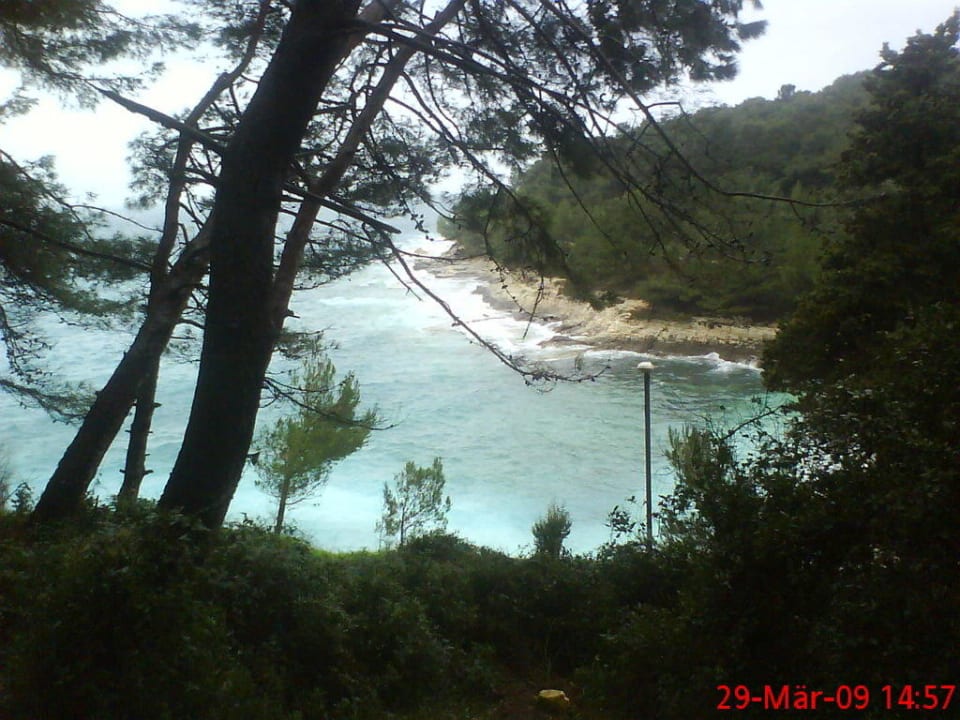 Der Ausblick vom Wald auf das Meer Hotel Pula
