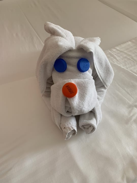 Zimmer Side Star Beach