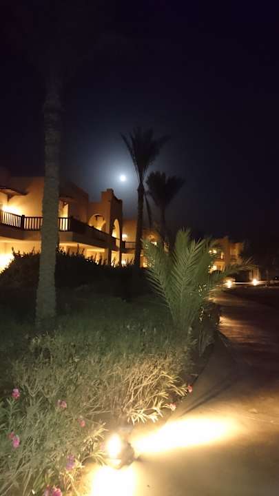 Gartenanlage Hilton Marsa Alam Nubian Resort