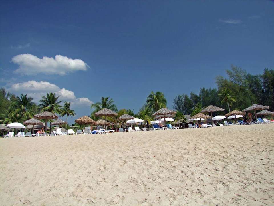 Liegen am schönen Strand The Kib Resort