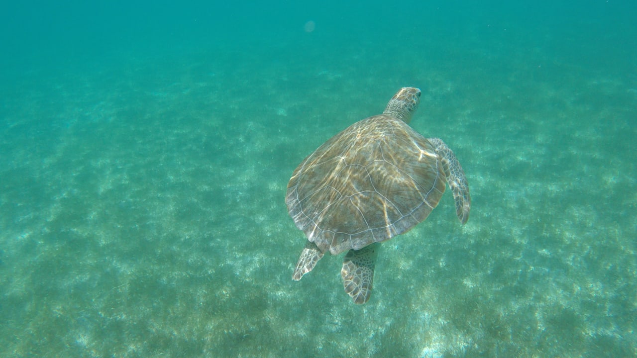 Sonstiges Akumal Bay Beach & Wellness Resort