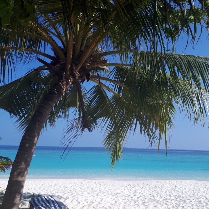 Strand Adaaran Select Meedhupparu Island Resort - Premium All Inclusive