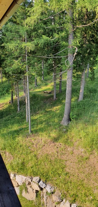 Ausblick Almwellness Hotel Pierer