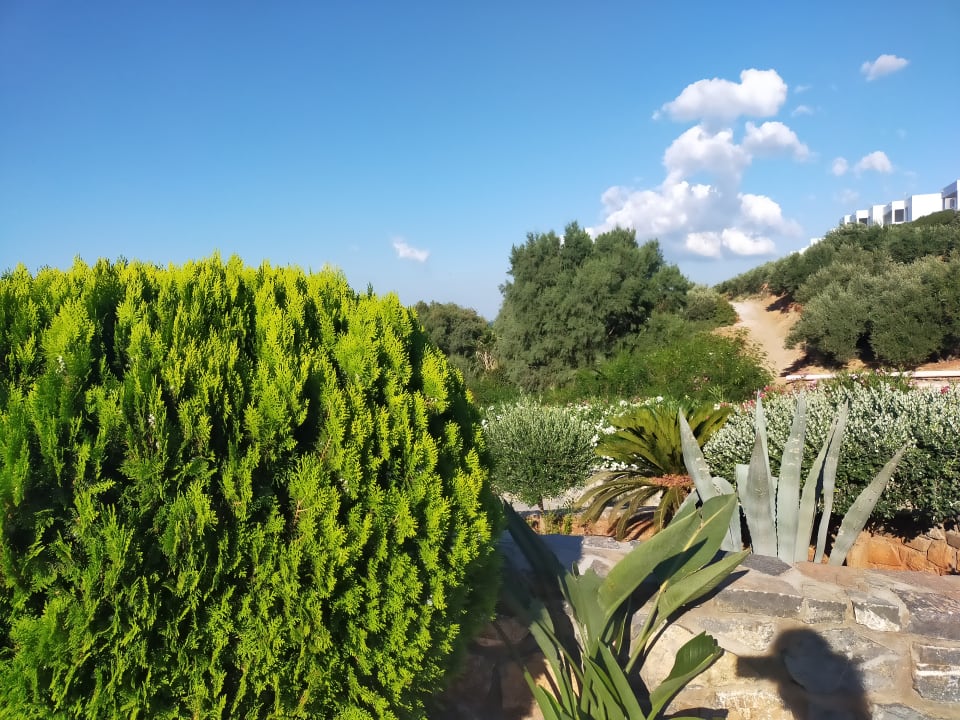 Gartenanlage Atlantica Mikri Poli Crete