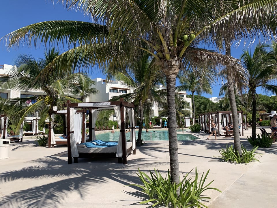 Pool Akumal Bay Beach & Wellness Resort