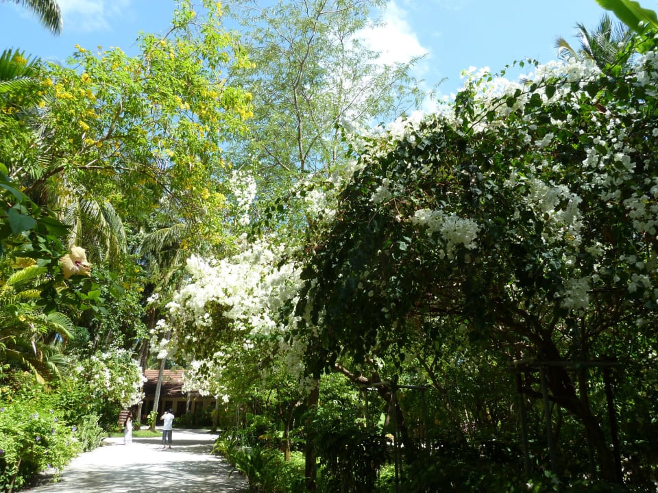 Tolle Anlage Kuramathi Maldives