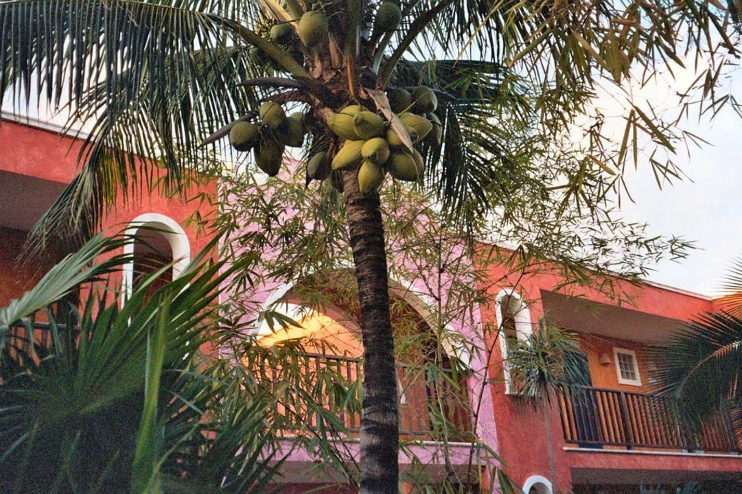 Innenhof Catalonia Playa Maroma