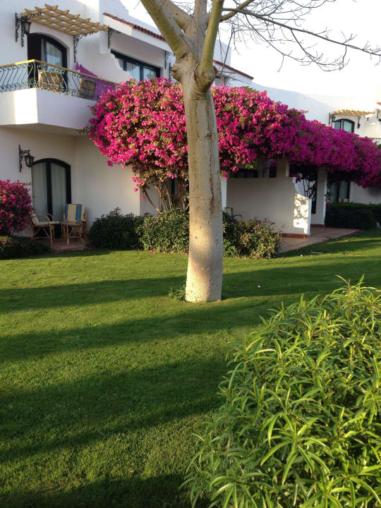 Außenbereich Lotus Bay Beach Resort