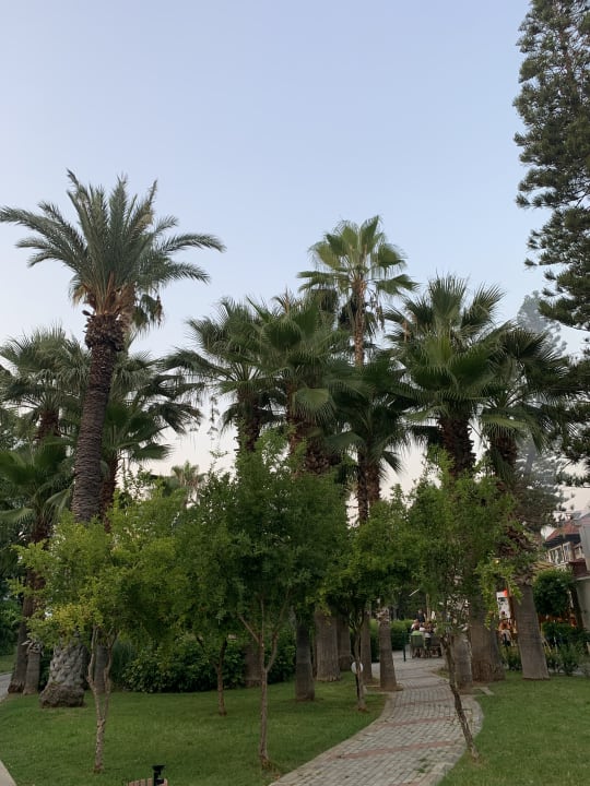 Gartenanlage Labranda Alantur Resort