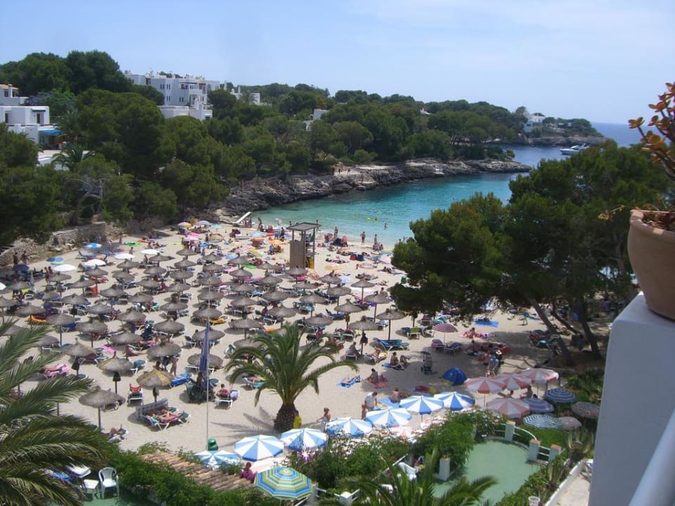Ausblick vom Zimmer zum Strand/Meer Grupotel Rocador