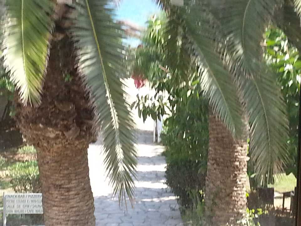 Durch das Strandhaus an Palmen vorbei zum Beach The Orangers Beach Resort and Bungalows