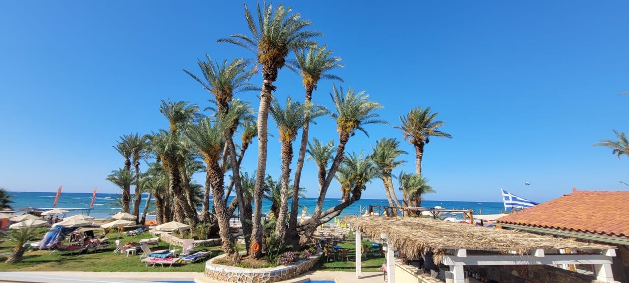 Ausblick Zeus Hotels Palm Beach