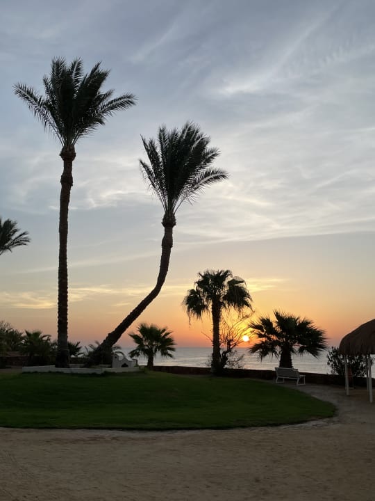 Gartenanlage Steigenberger Coraya Beach - Adults only